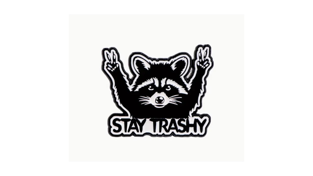 Stay Trashy Raccoon Pin
