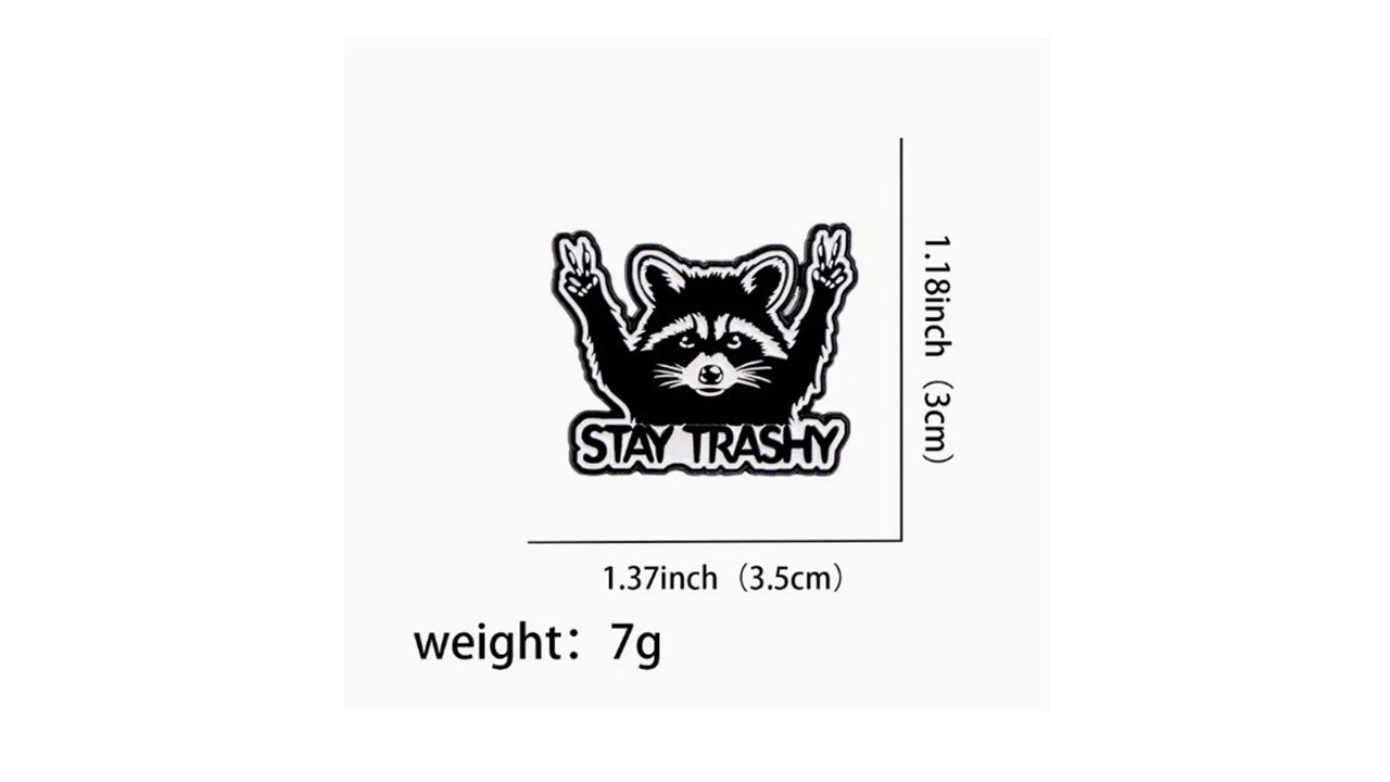 Stay Trashy Raccoon Pin