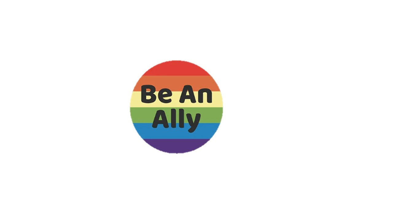 Be an Ally Pin - Novelty•ish