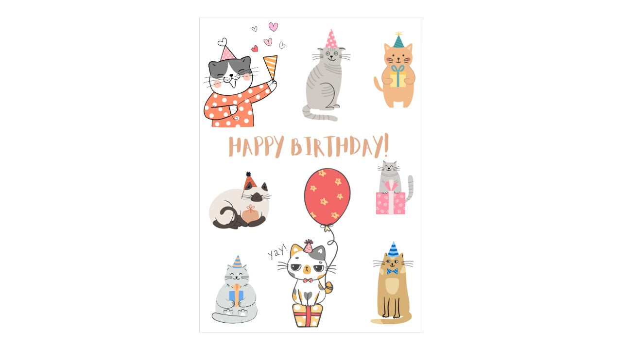 Cat Happy Birthday Card - Novelty•ish