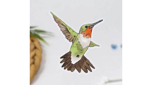 Hummingbird Sticker - Novelty•ish