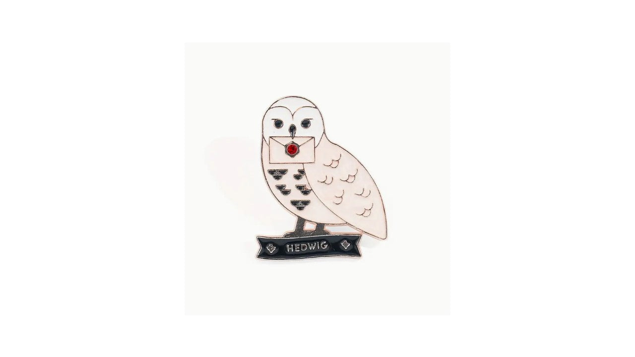 Cute Owl Messenger Enamel Pin